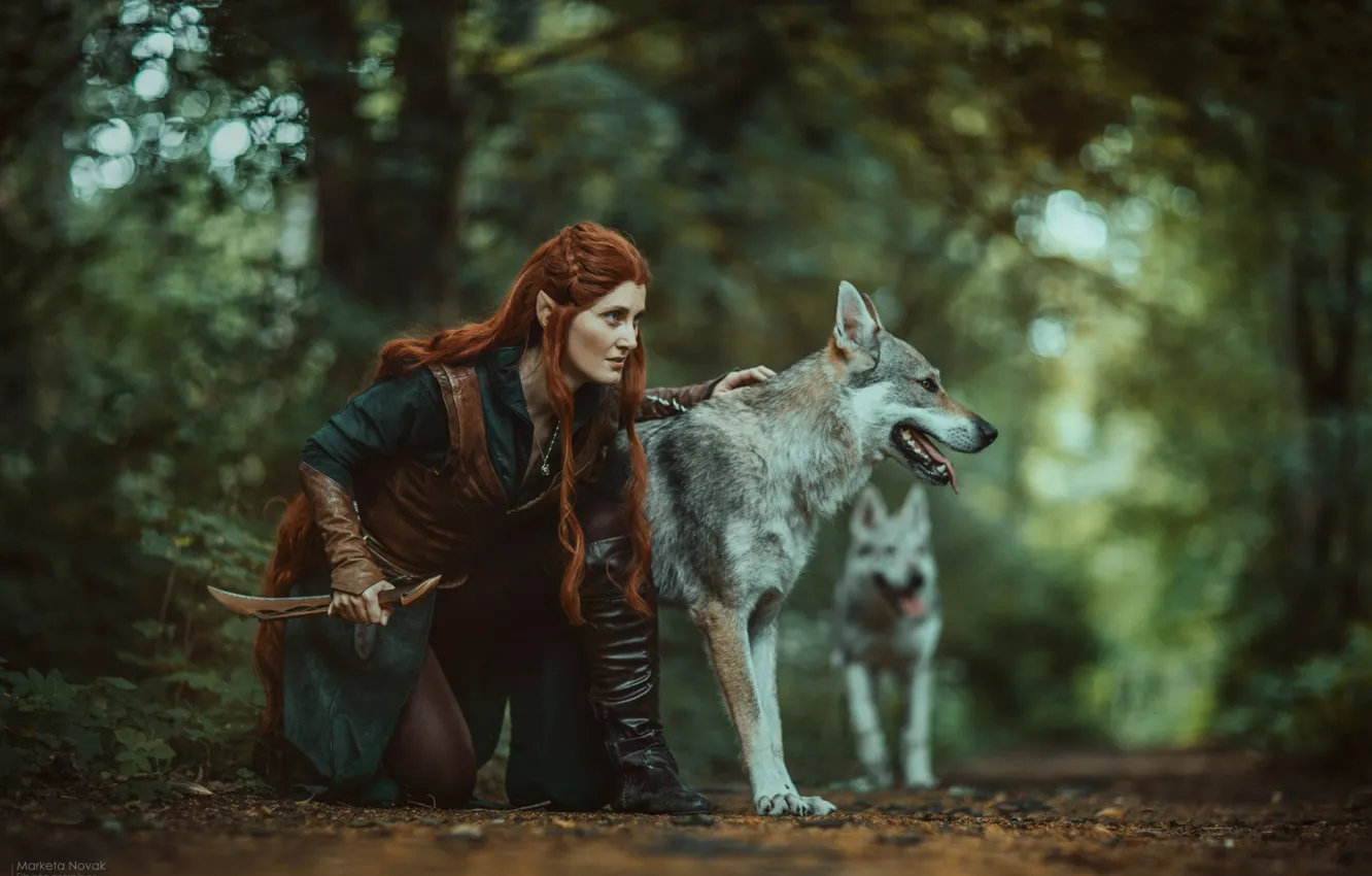 Photo wallpaper forest, girl, pose, wolf, dog, knife, red, hunter