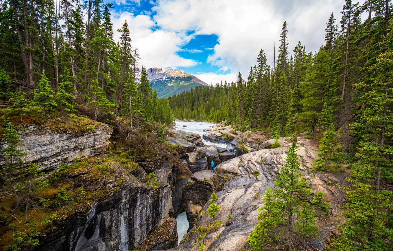 Photo wallpaper forest, river, open, rocks, ate, cleft