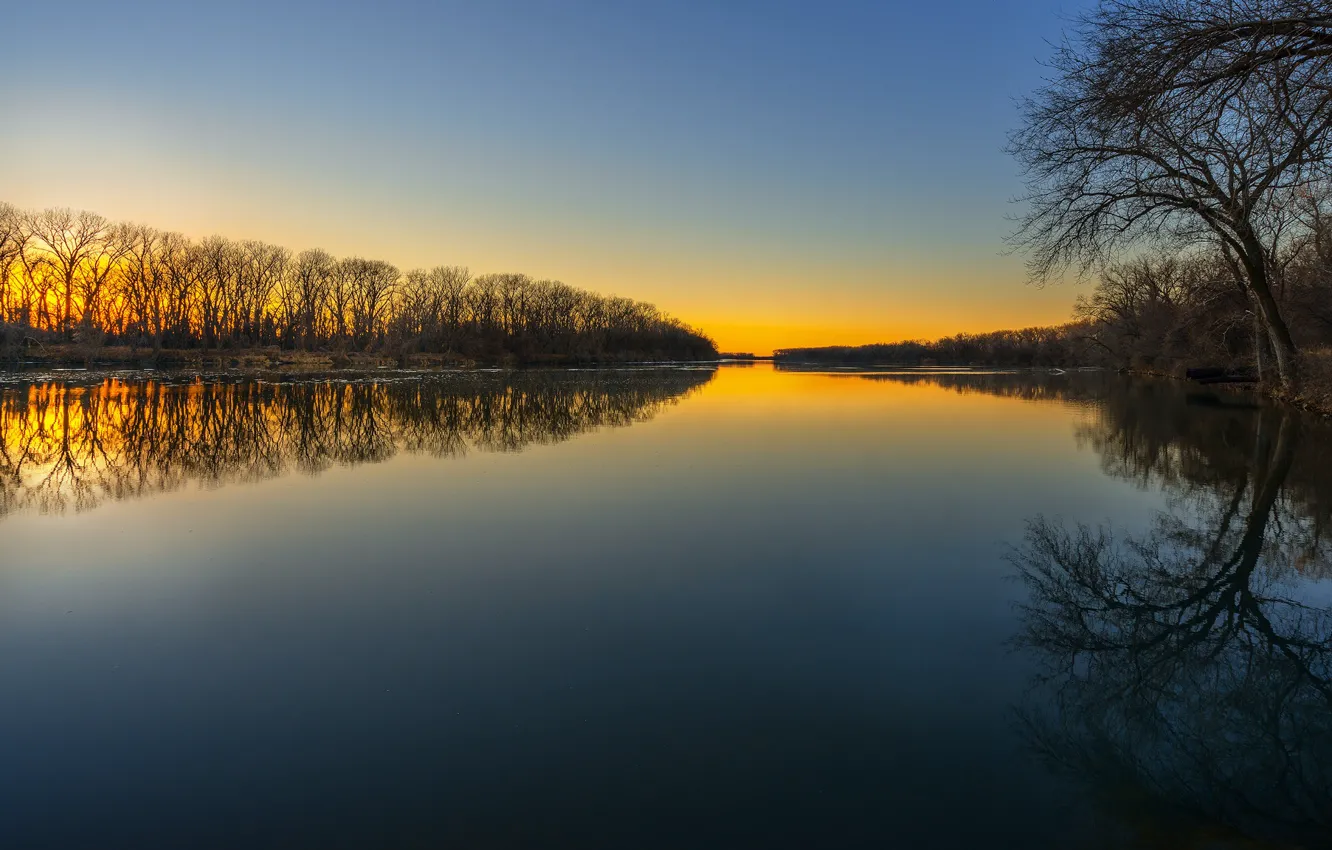 Photo wallpaper trees, reflection, twilight, pond