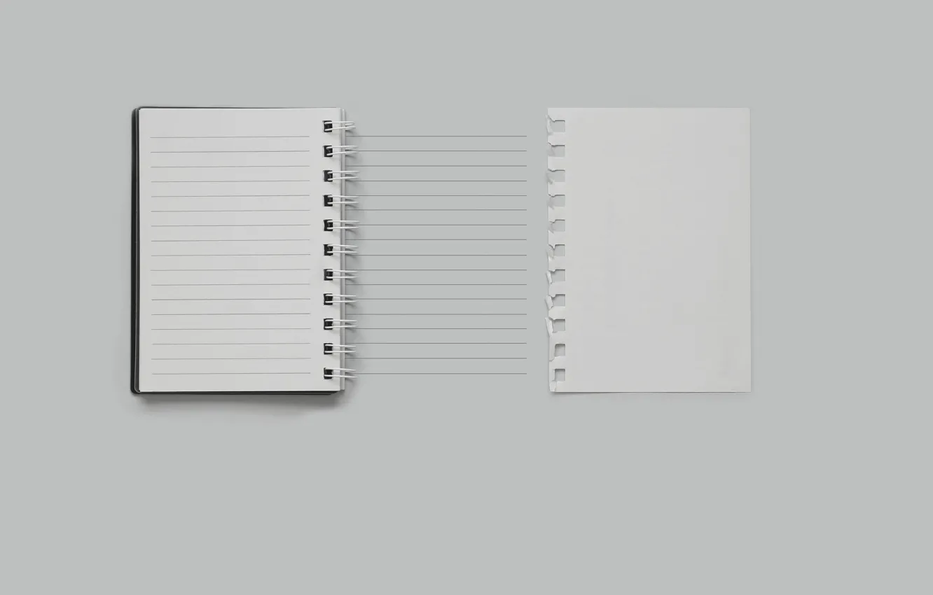 Photo wallpaper line, sheet, notebook