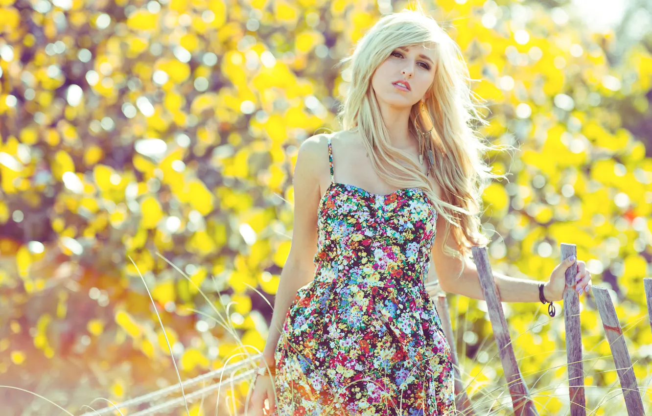 Photo wallpaper girl, dress, blonde, photographer, girl, photography, photographer, Brian Storey