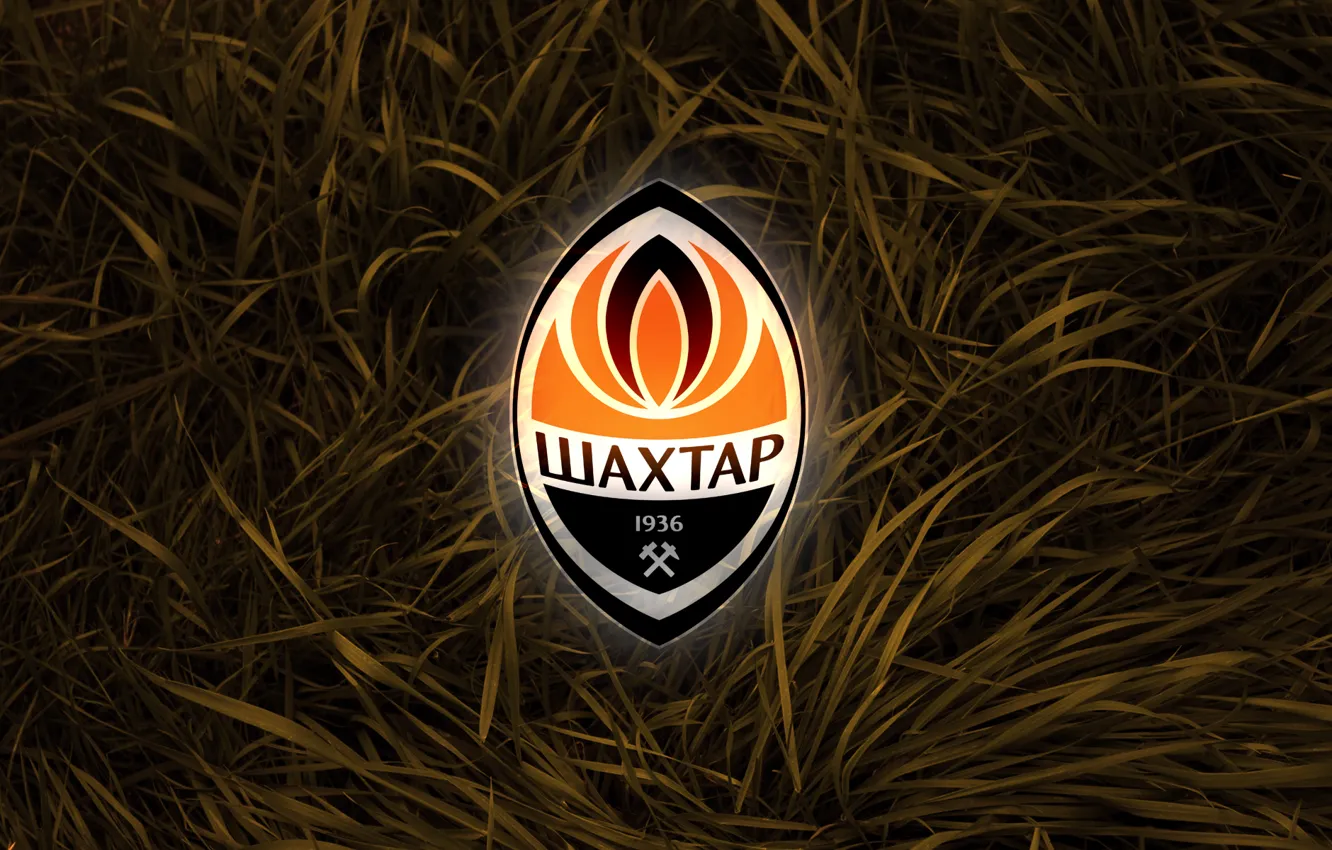 Photo wallpaper grass, football, sport, logo, logo, Miner