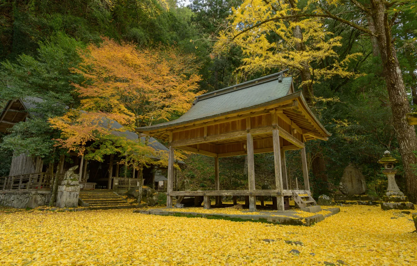 Photo wallpaper Nature, Autumn, Japan, Forest, Leaves, Temple