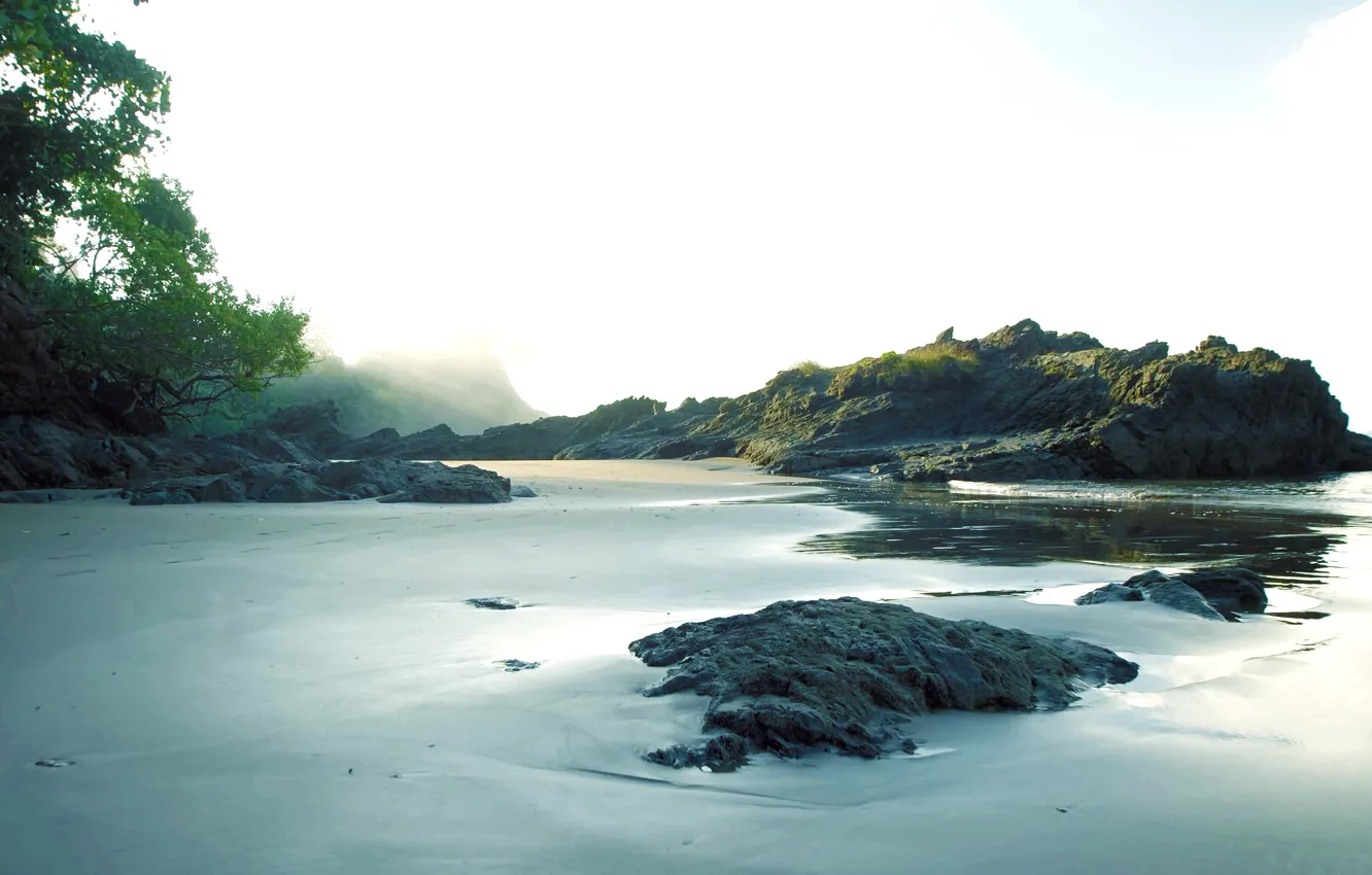 Photo wallpaper sea, beach, palm trees, Costa Rica