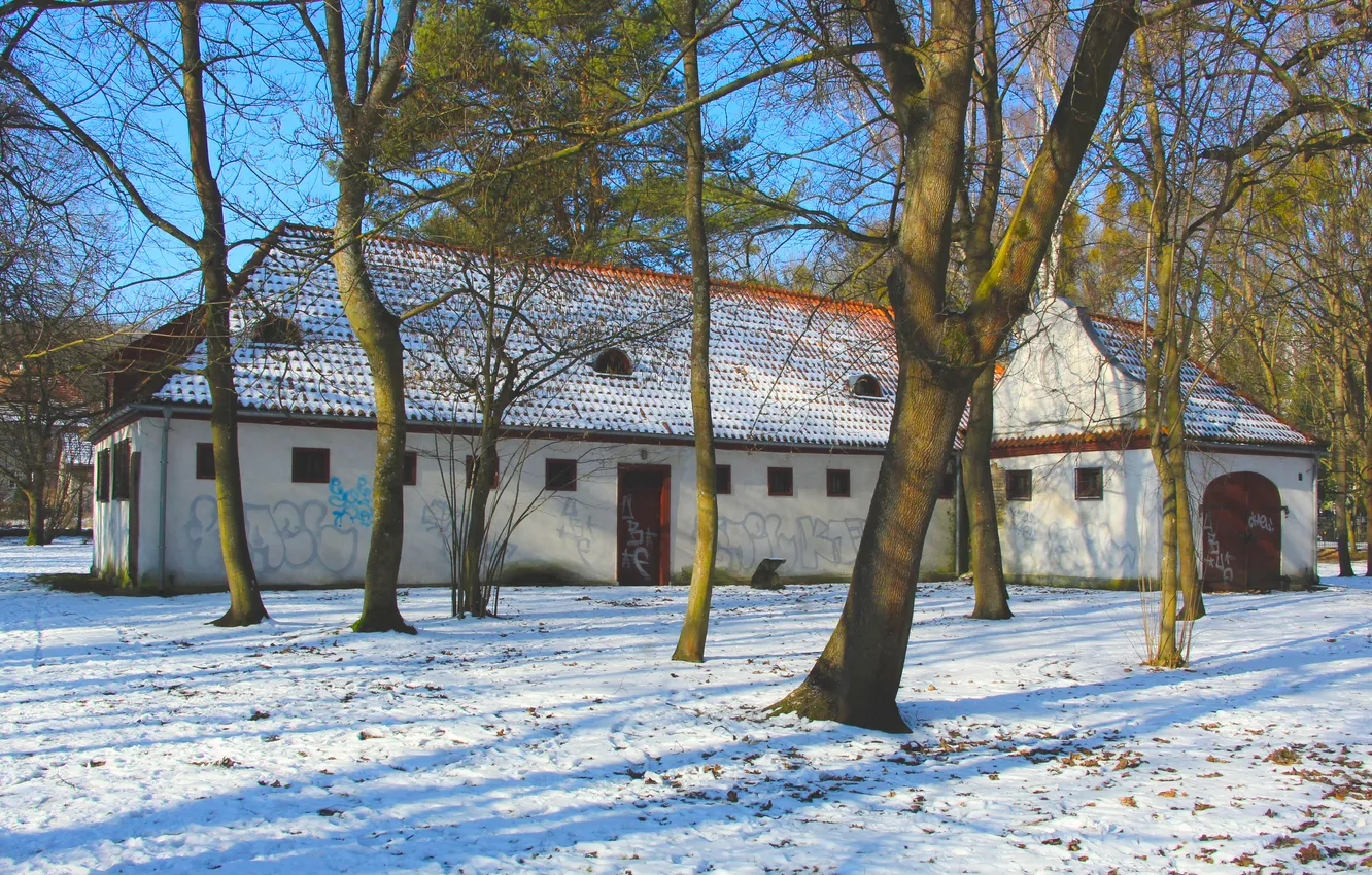 Photo wallpaper trees, park, winter, building, HISTORIC