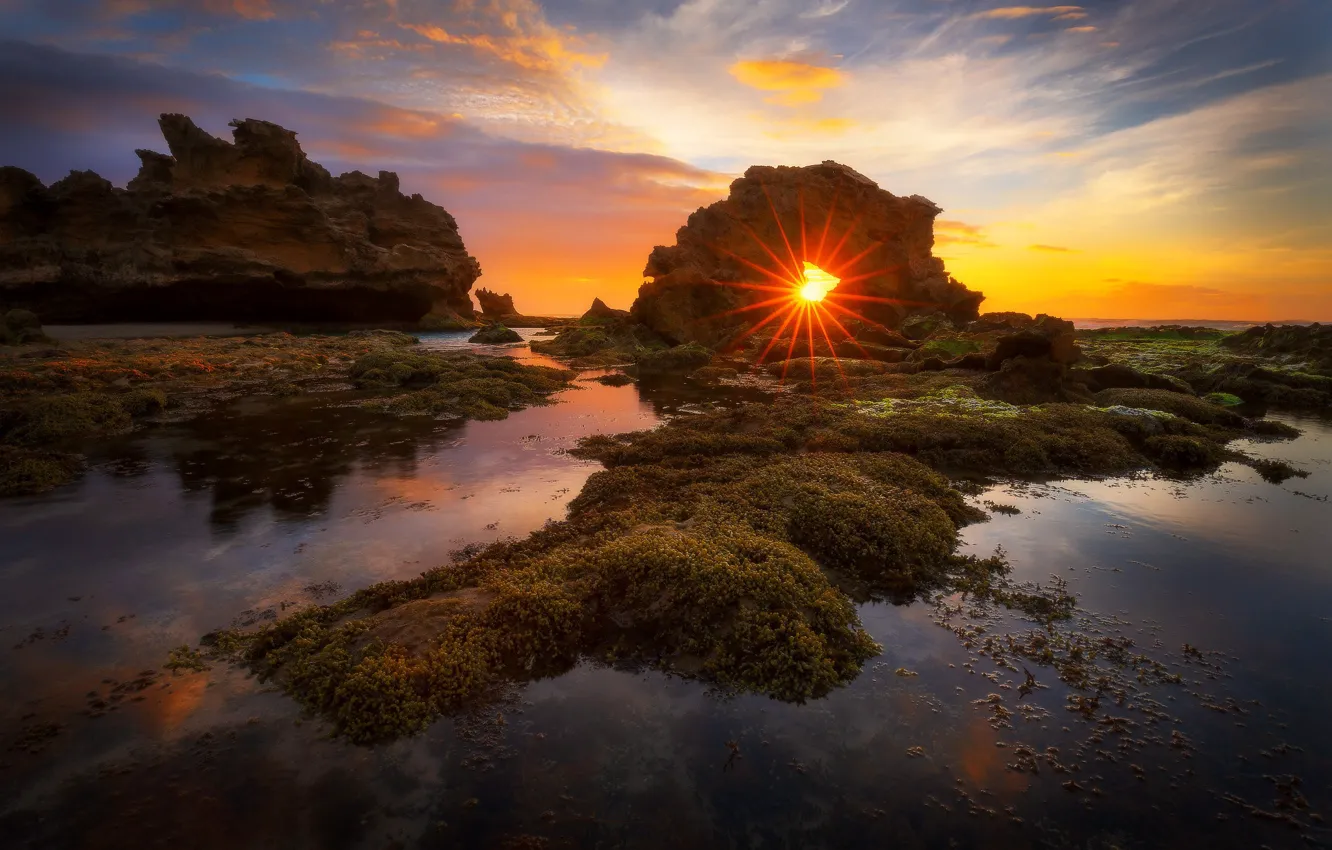 Photo wallpaper sunset, Australia, Bridgewater Bay, Mornington Peninsula National Park
