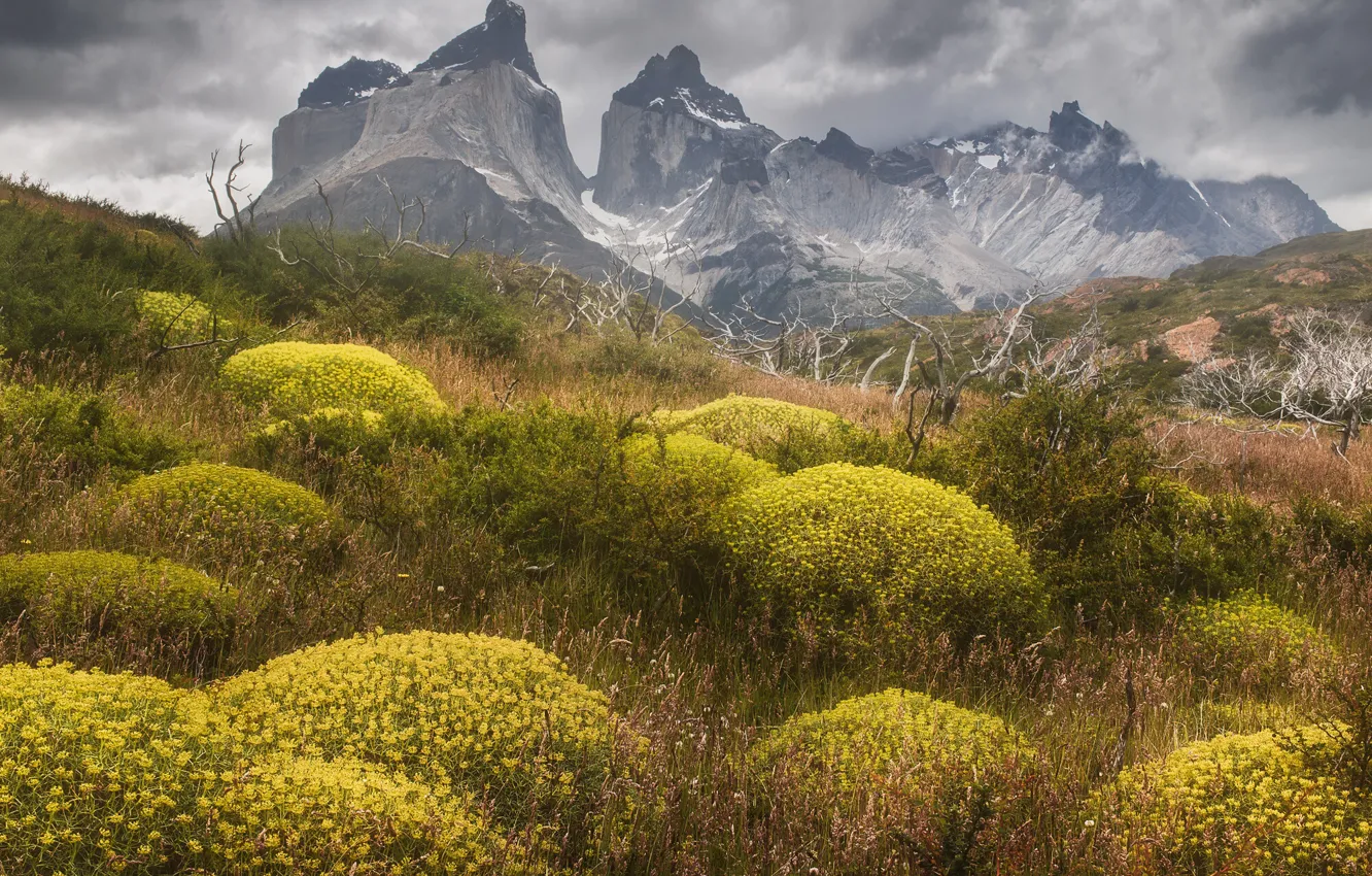 Photo wallpaper clouds, landscape, mountains, nature, vegetation, Chile, Patagonia