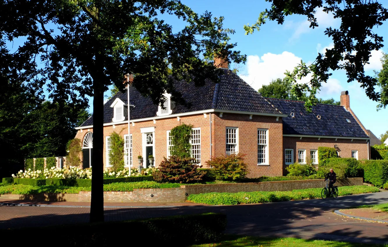 Photo wallpaper nature, street, home, house, nature, street