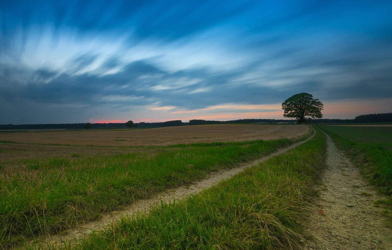 Photo wallpaper road, field, forest, summer, the sky, grass, clouds, trees