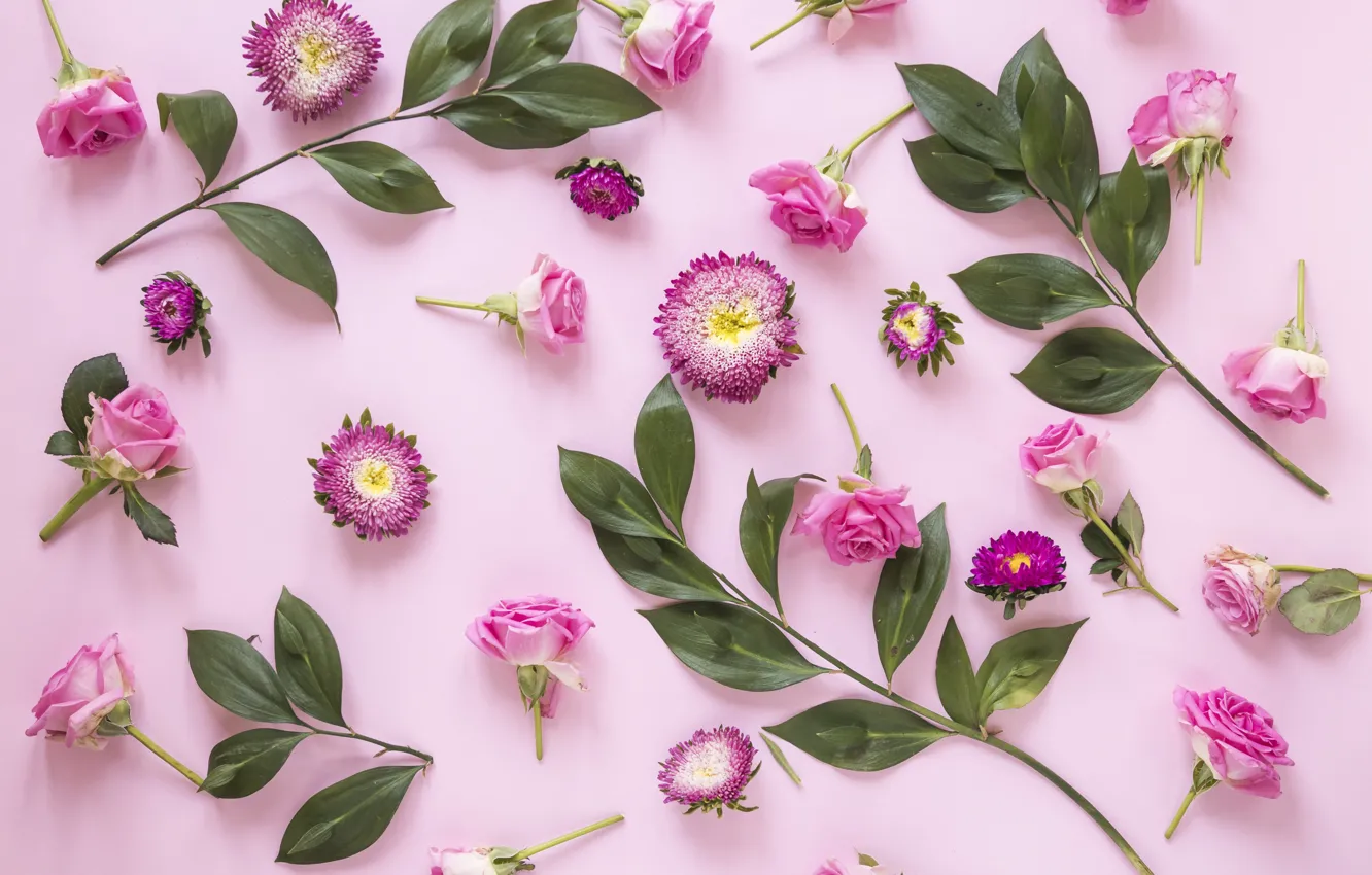 Photo wallpaper flowers, background, buds, pink, flowers