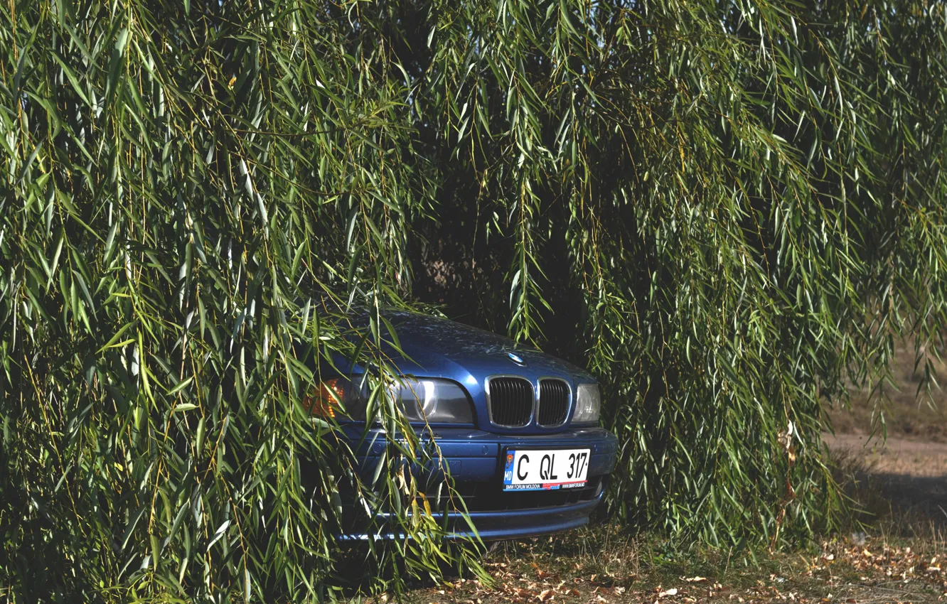 Photo wallpaper auto, 5 Series, E39