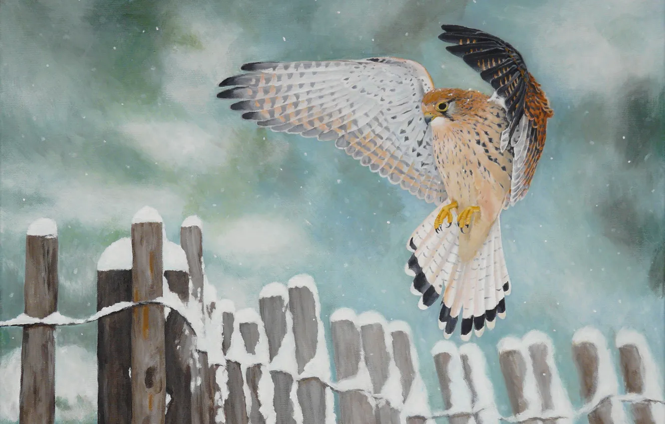 Photo wallpaper snow, bird, figure, fence, art