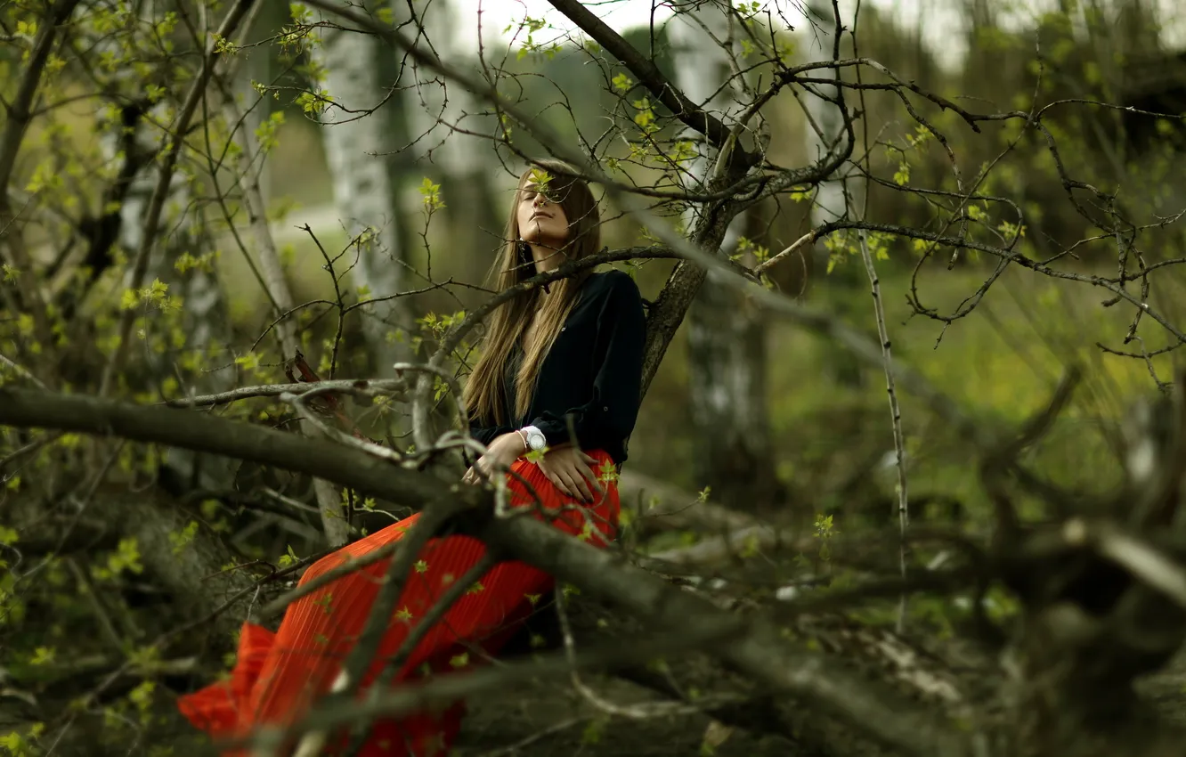 Photo wallpaper forest, girl, branches