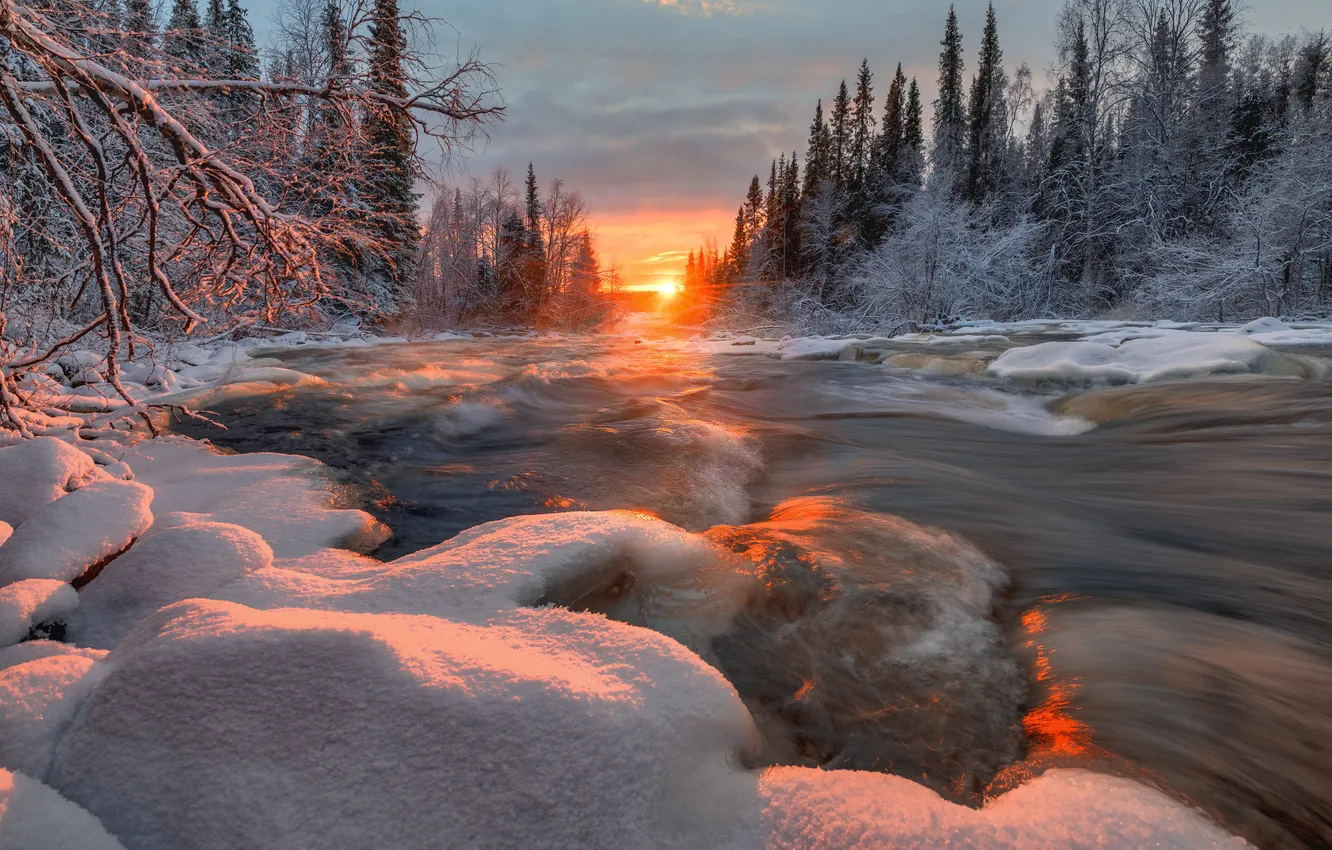 Photo wallpaper ice, winter, forest, snow, trees, sunset, river, Russia