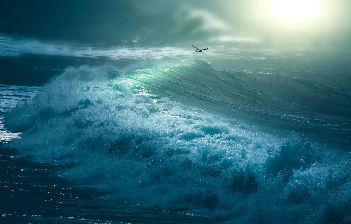 Photo wallpaper sea, wave, storm, seagulls