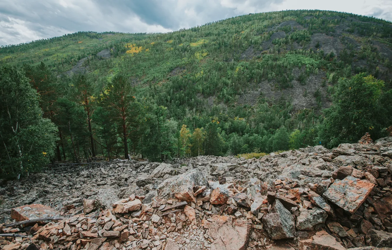 Photo wallpaper forest, summer, nature, stones, rocks