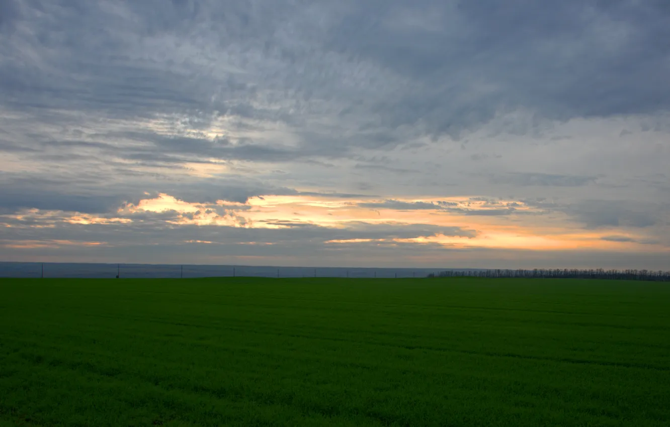 Photo wallpaper field, the sky, grass, clouds, landscape, sunset, nature, the evening