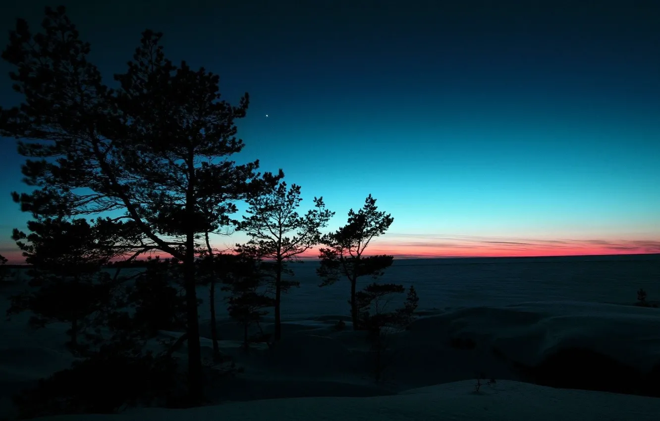 Photo wallpaper snow, trees, nature, the evening