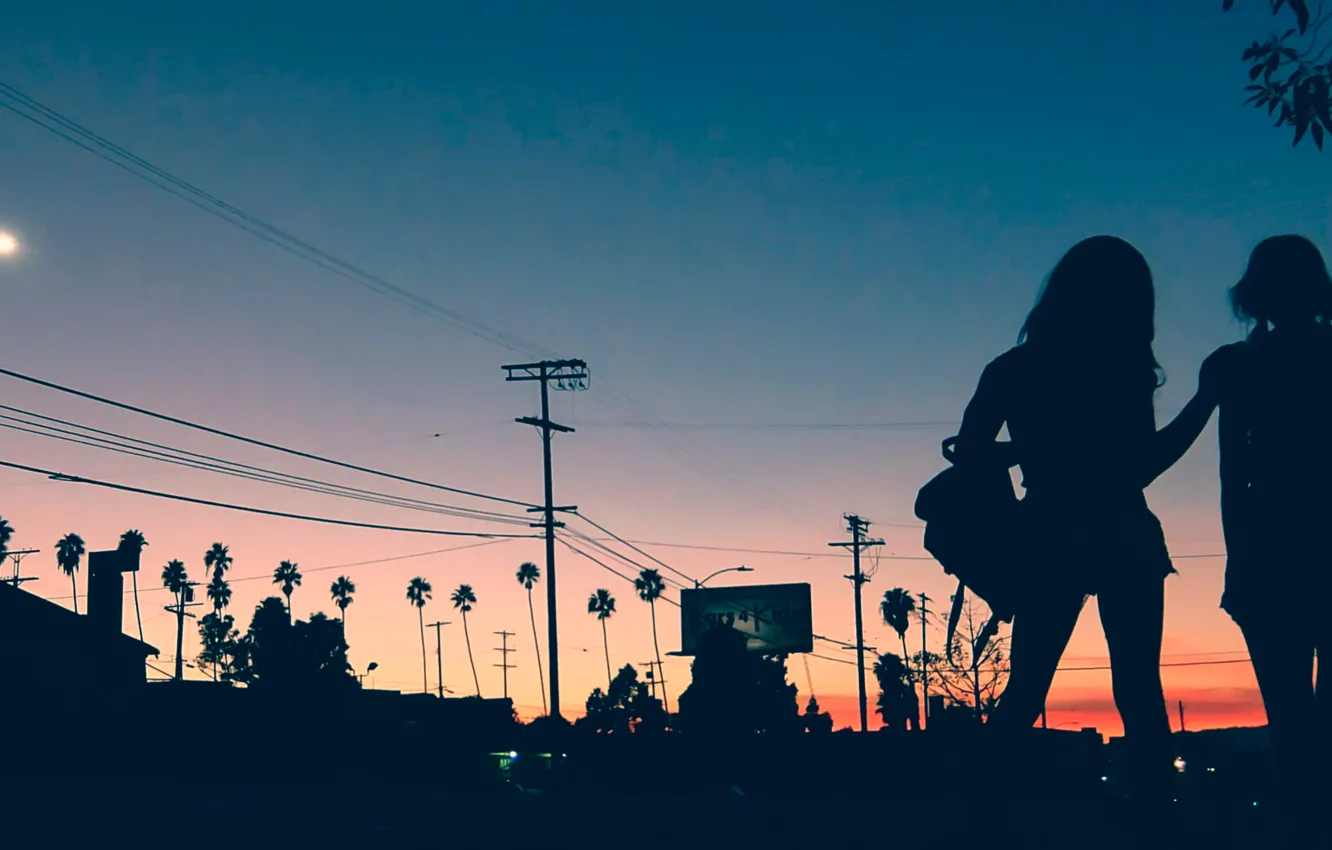 Photo wallpaper sunset, the evening, silhouette