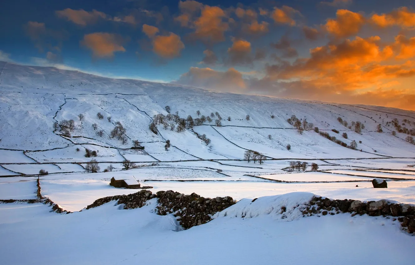 Photo wallpaper winter, field, the sky, clouds, snow, trees, sunset, hills
