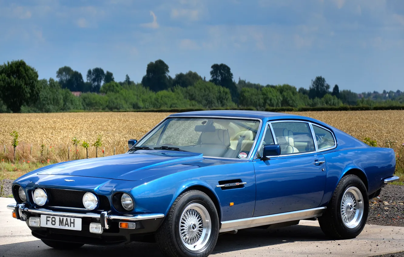 Photo wallpaper field, the sky, blue, Aston Martin, Aston Martin, sports car, grove, saloon