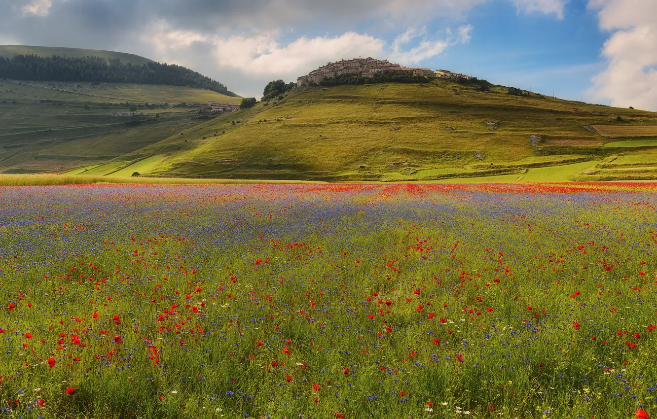 Photo wallpaper summer, light, flowers, mountains, hills, Maki, home, settlement