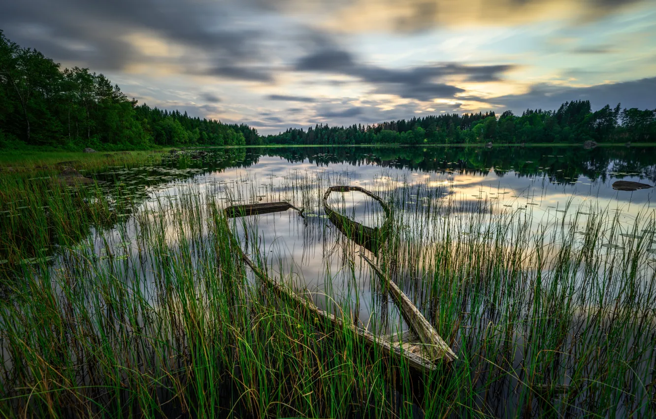 Photo wallpaper forest, summer, the sky, grass, clouds, lake, shore, boat