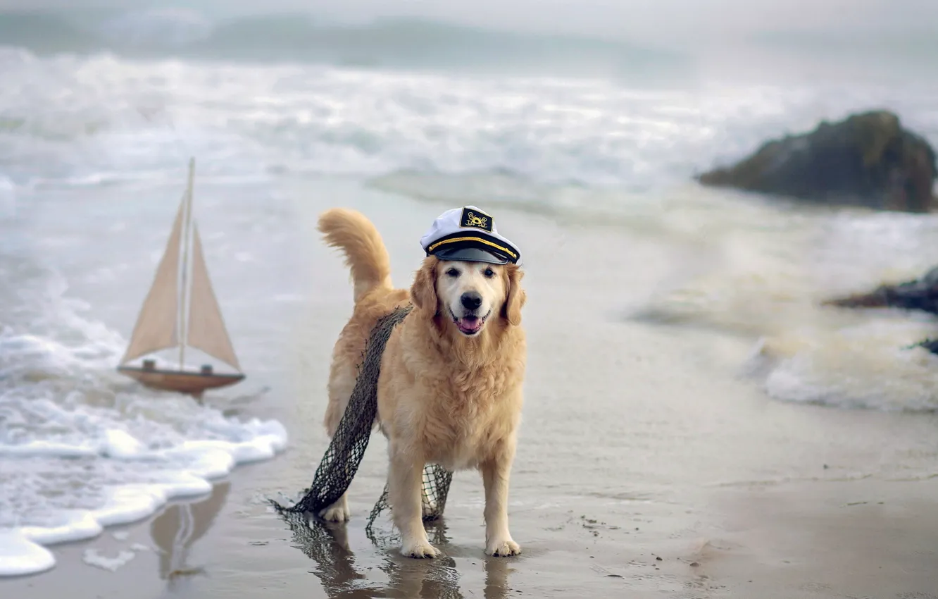Photo wallpaper sea, dog, boat