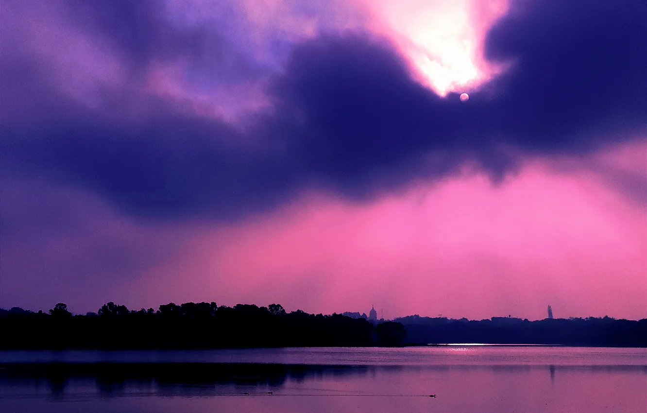 Photo wallpaper water, lake, morning, sun, sunrise, dawn, reflection, plants