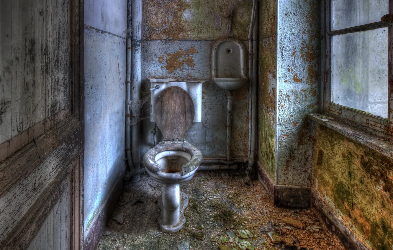 Photo wallpaper interior, toilet, the closet