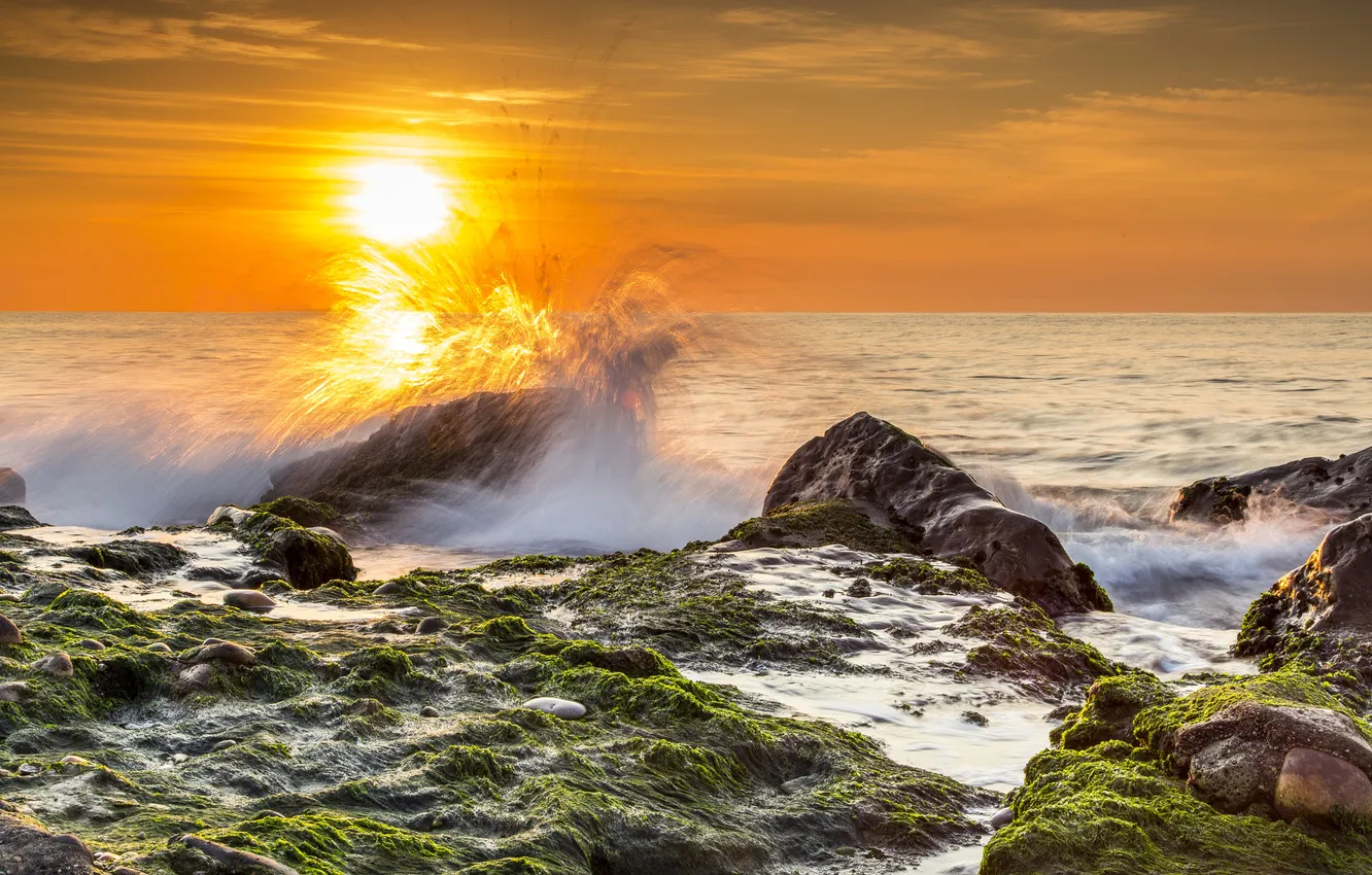 Photo wallpaper sea, the sky, the sun, squirt, stones, dawn, shore, moss
