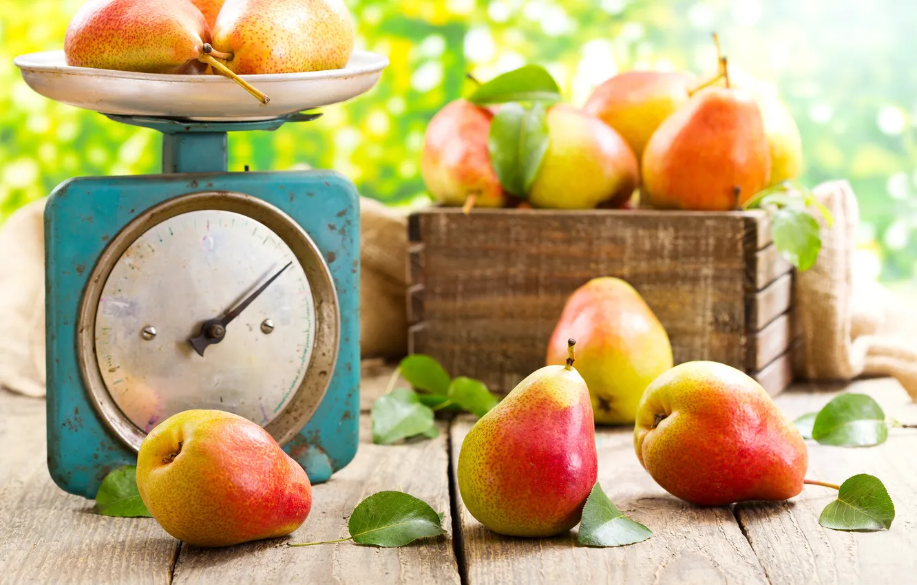 Photo wallpaper leaf, box, Libra, pear