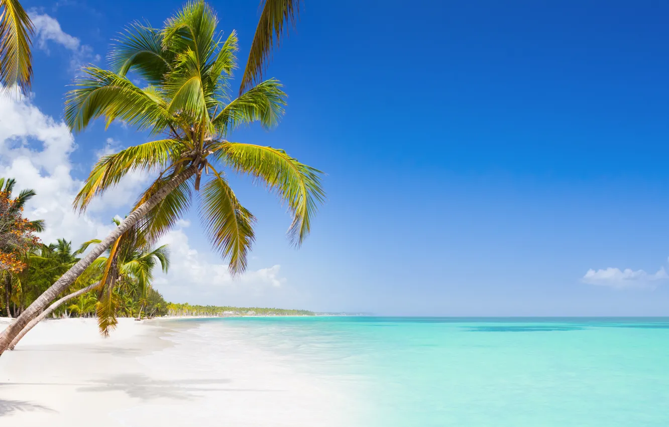 Photo wallpaper beach, sky, sea, island, palm tree