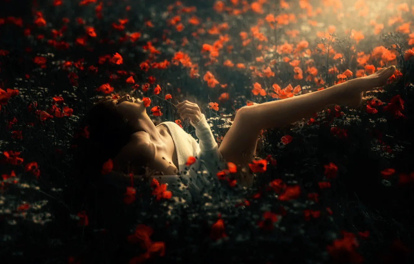 Photo wallpaper field, girl, joy, flowers, red, nature, Maki