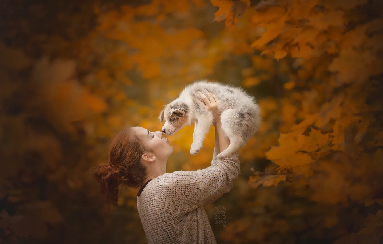 Photo wallpaper autumn, girl, puppy