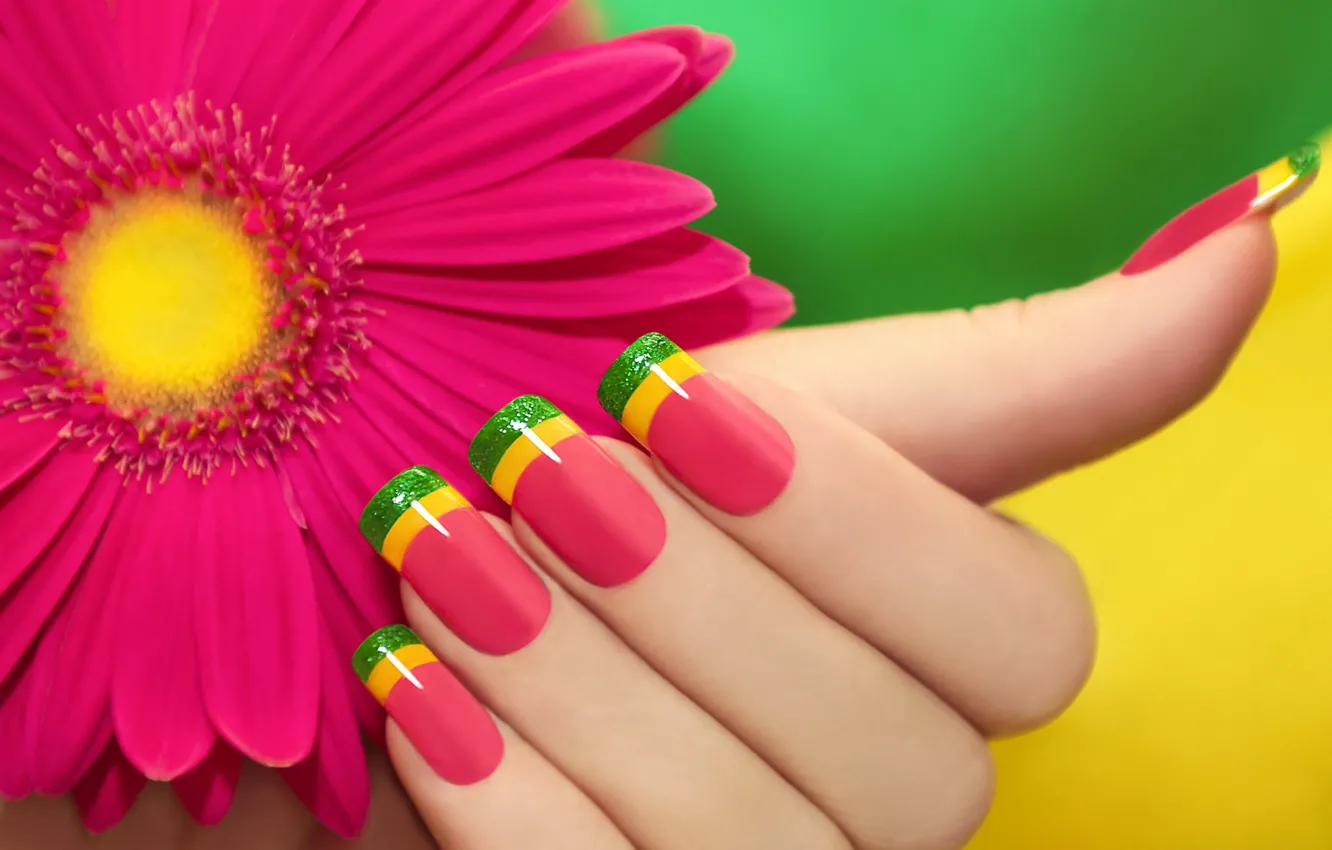 Photo wallpaper flowers, colored, pink, gerbera, manicure