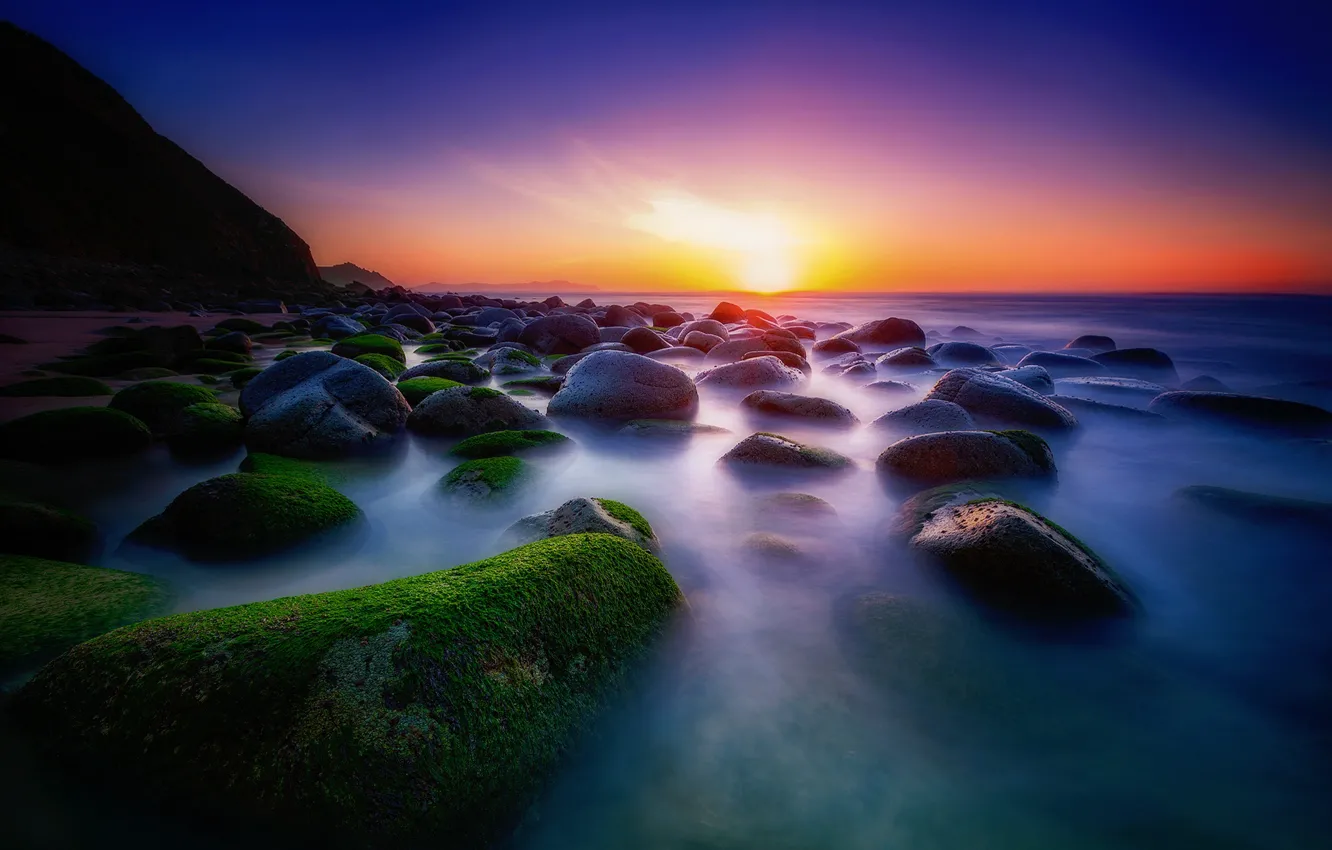 Photo wallpaper sea, greens, the sky, the sun, light, sunset, blue, bright