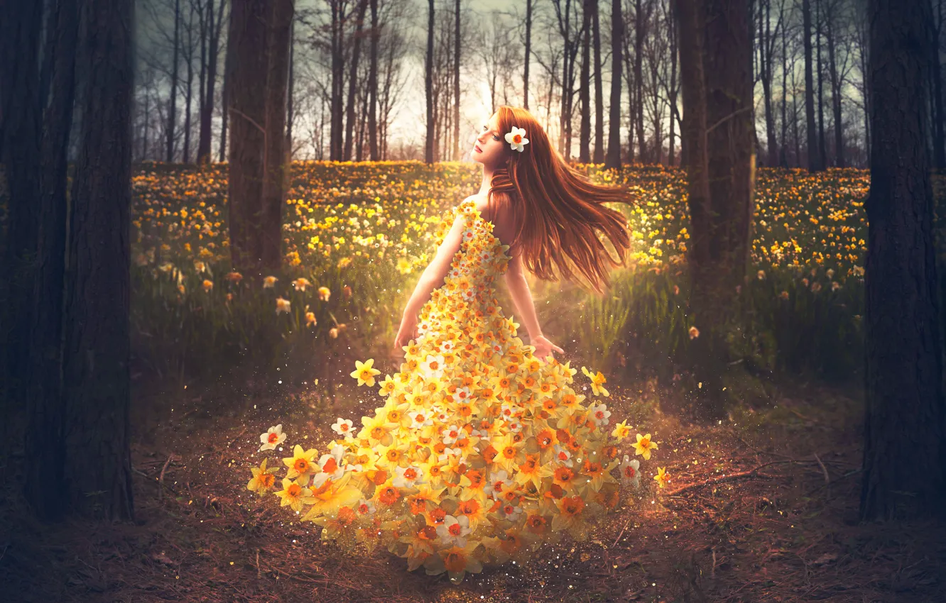 Photo wallpaper girl, flowers, dress, daffodils, Shelby Robinson