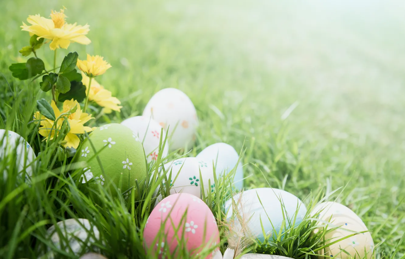 Photo wallpaper grass, flowers, eggs, Easter, happy, flowers, eggs, easter