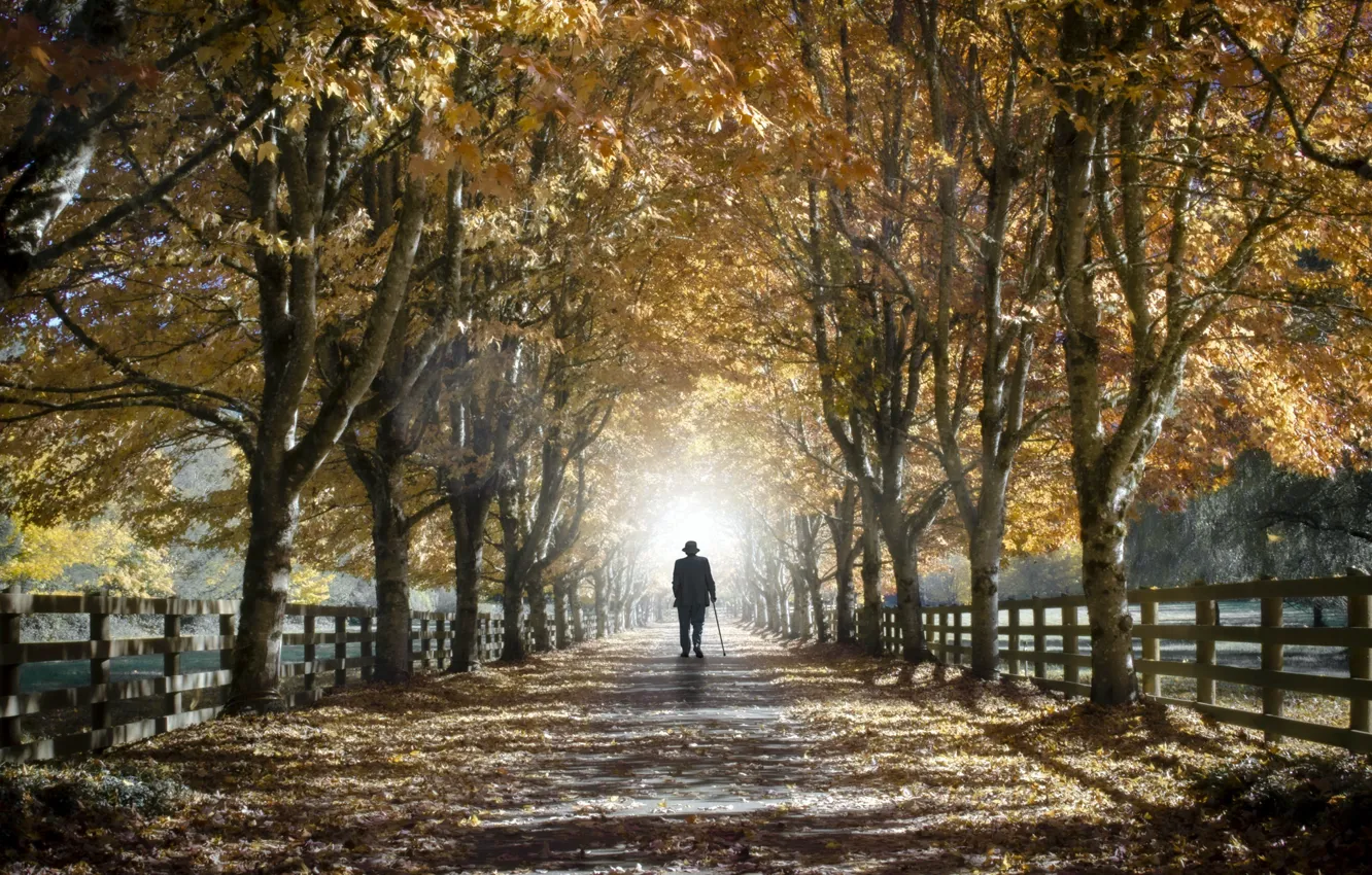 Photo wallpaper autumn, life, street, people