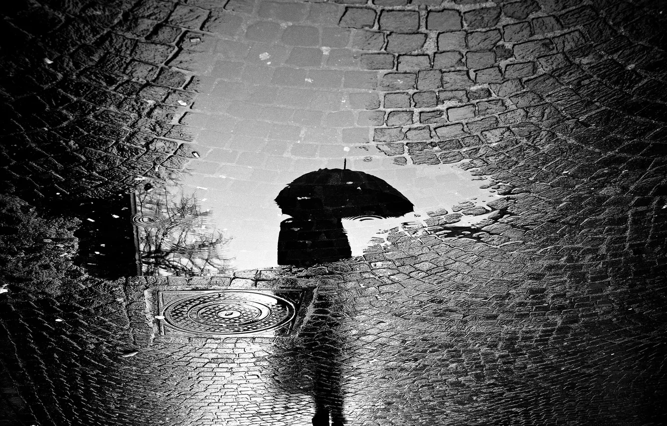 Photo wallpaper road, the city, reflection, rain, people, umbrella, puddle, the sidewalk