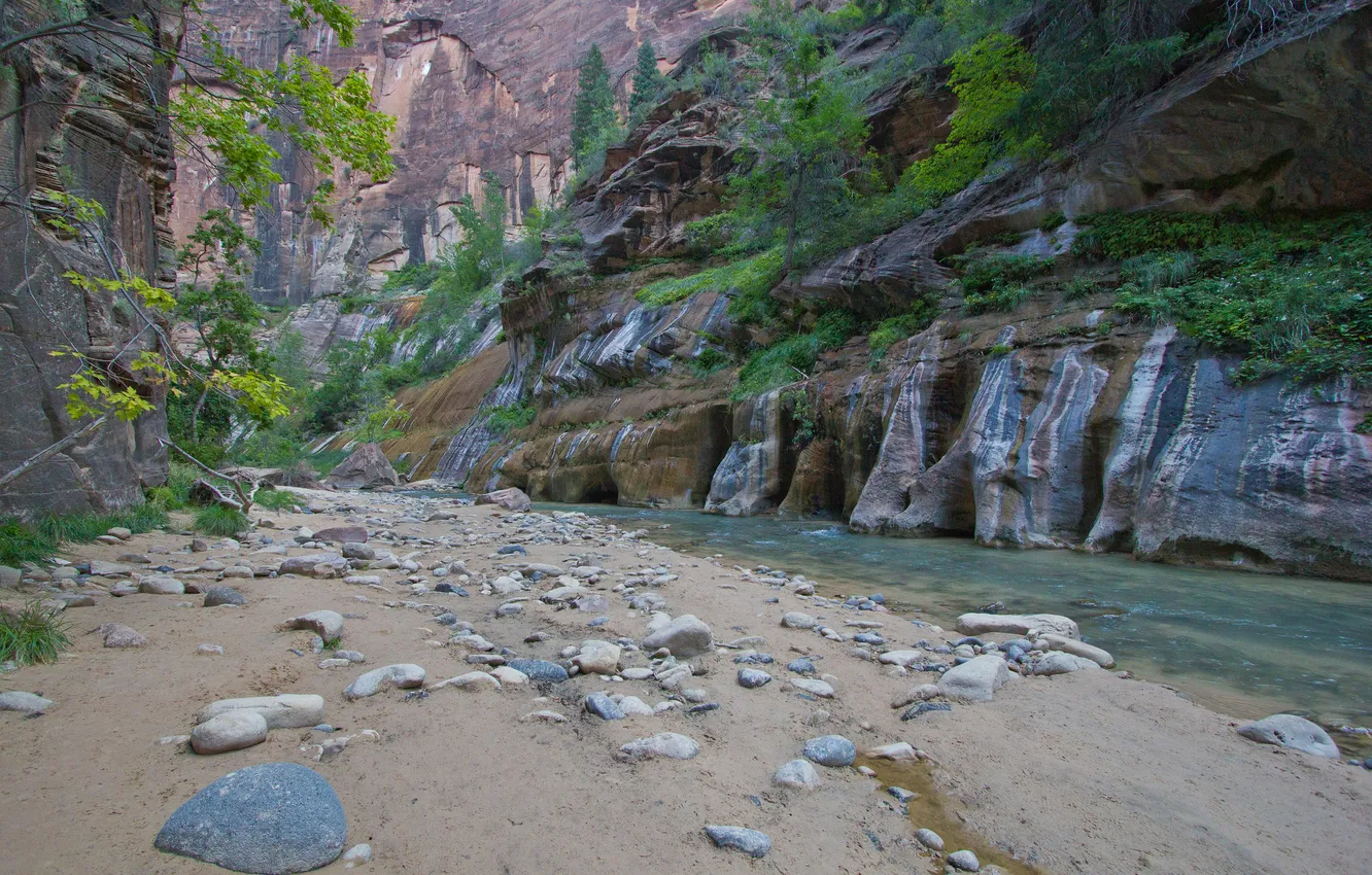 Photo wallpaper trees, mountains, river, stones, rocks, canyon, gorge