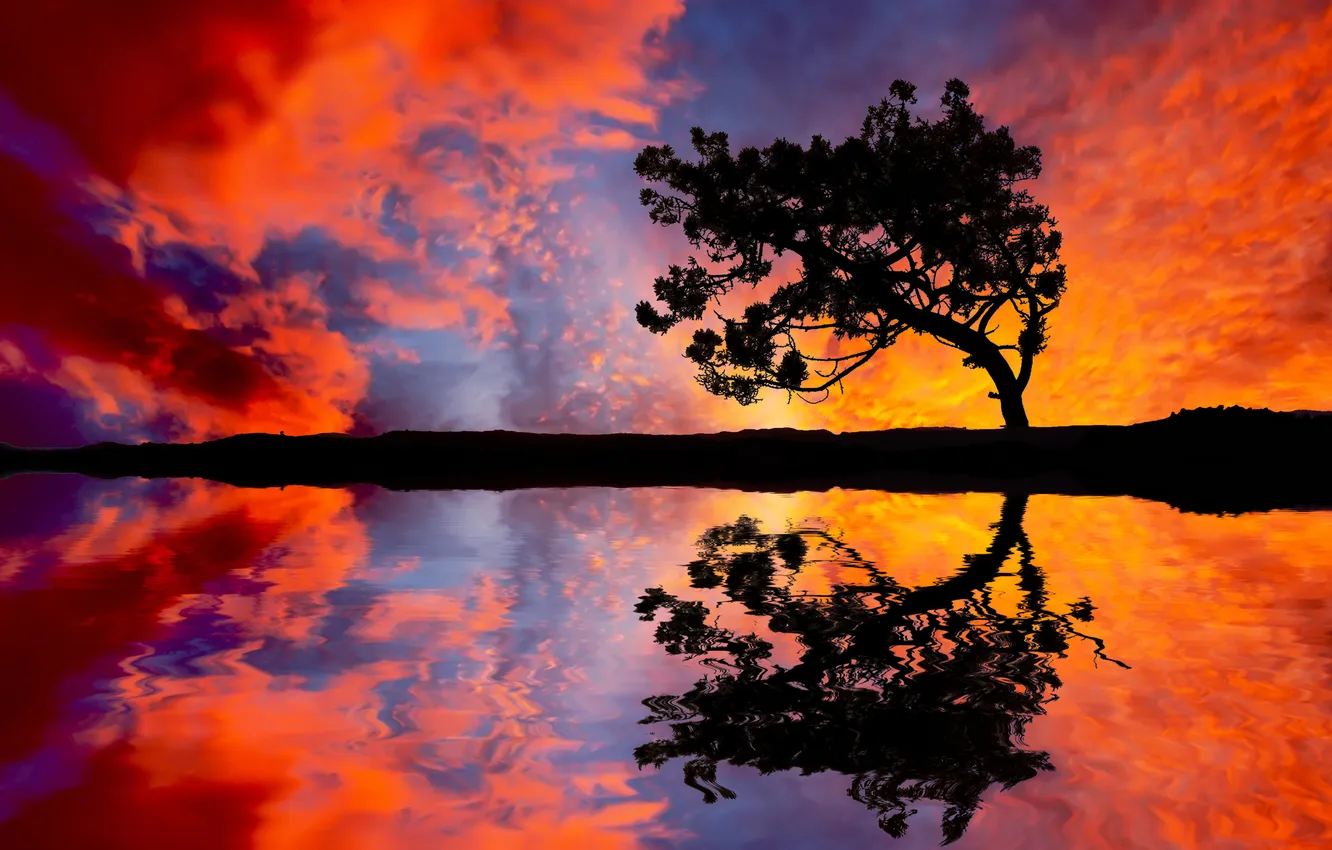 Photo wallpaper the sky, water, clouds, trees, sunset, reflection, dawn, shadow