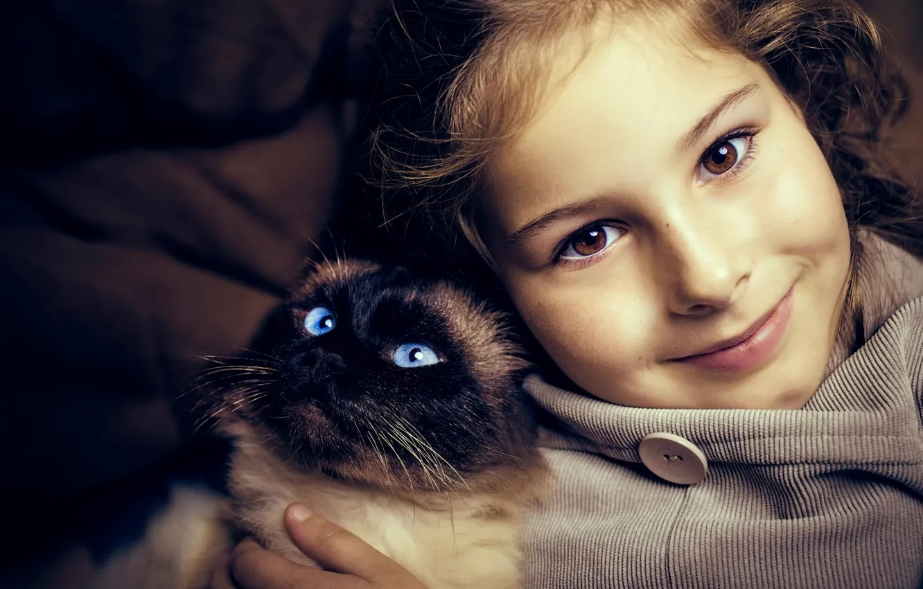 Photo wallpaper cat, each, girl