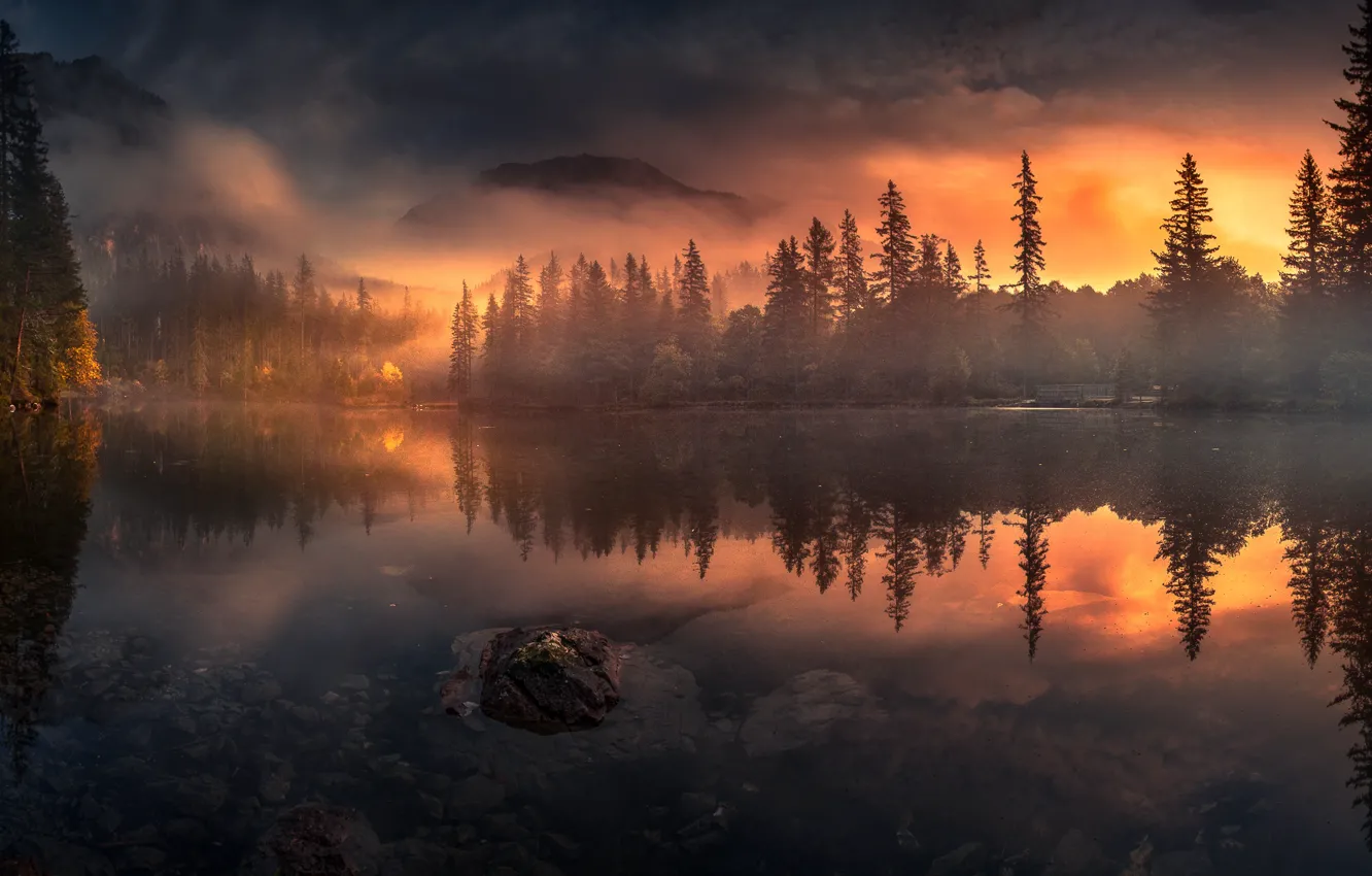Photo wallpaper landscape, mountains, nature, fog, lake, dawn, Austria, forest