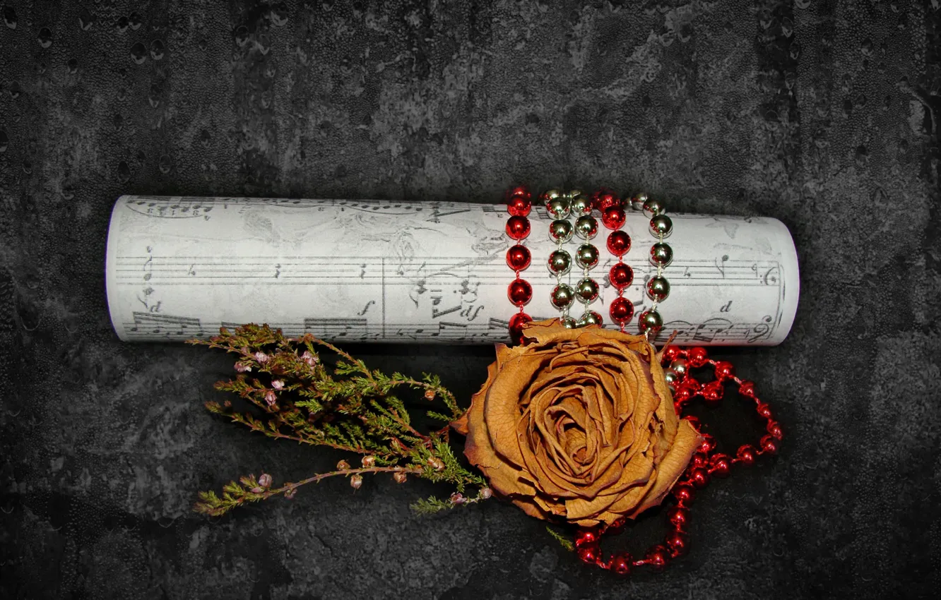 Photo wallpaper notes, rose, beads, beauty is in simplicity, author's photo by Elena Anikina