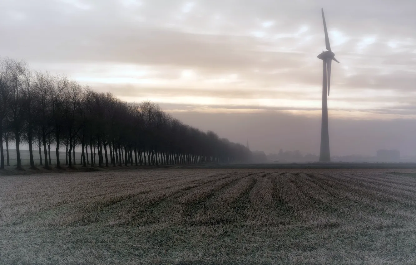 Photo wallpaper field, fog, windmill