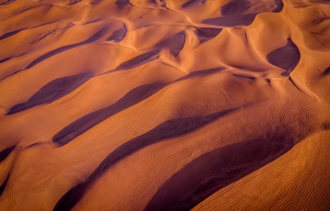 Photo wallpaper morning, Desert, footprints in the sand