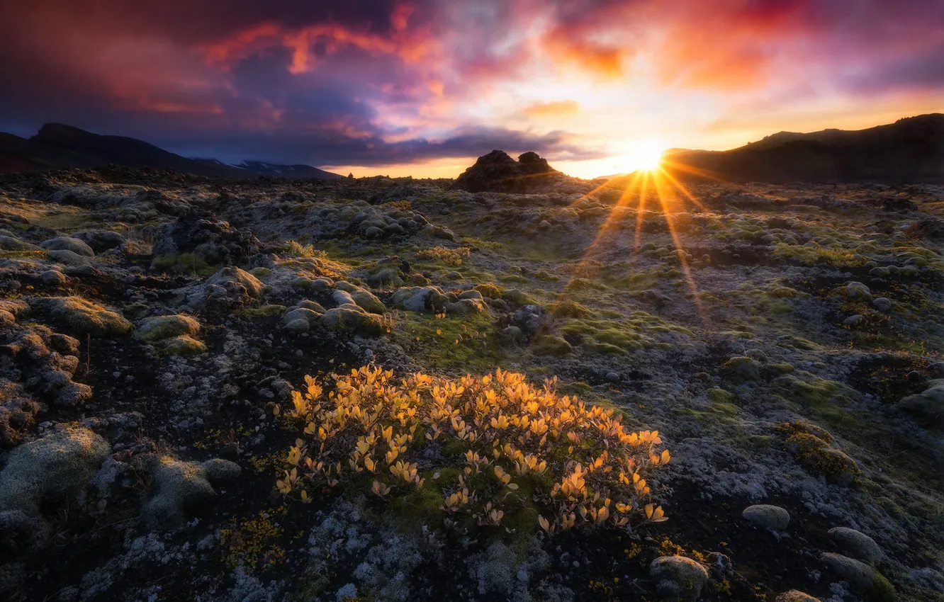 Photo wallpaper the sky, sunset, nature