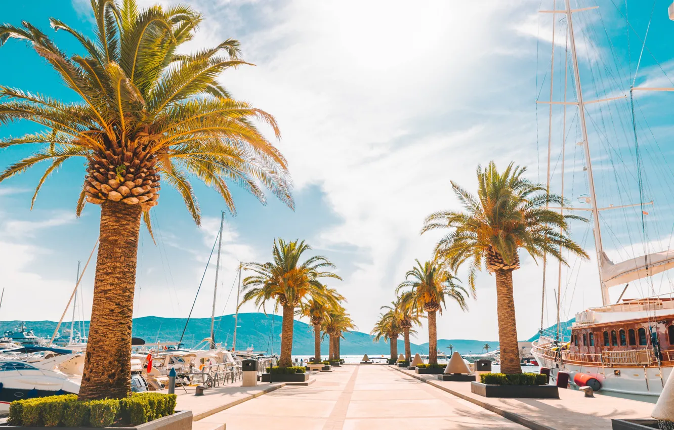 Photo wallpaper sea, the sun, mountains, palm trees, yachts, Montenegro, Tivat